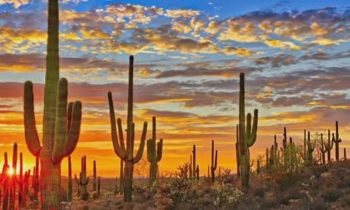 15-amazing-truth-about-arizona
