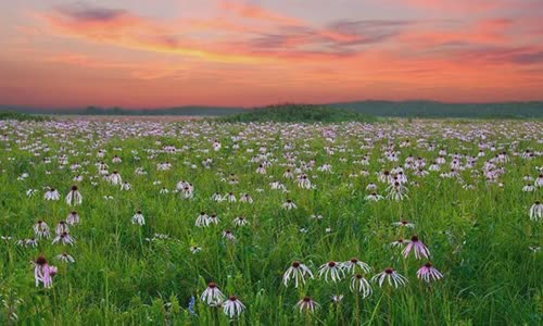 15-great-facts-about-alabama