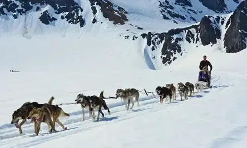 15-interesting-facts-about-alaska