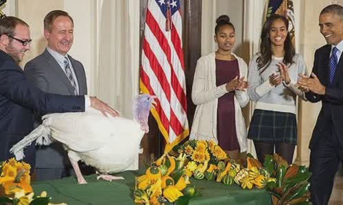 15-interesting-facts-about-thanksgiving-you-should-know