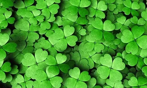 16 lucky truth about Saint Patrick's day