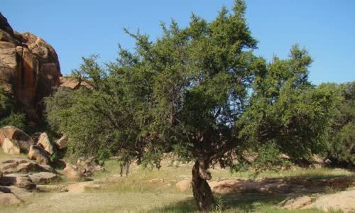 17-great-facts-about-morocco