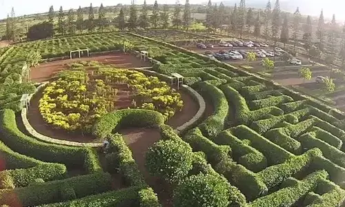 20-interesting-facts-about-hawaii