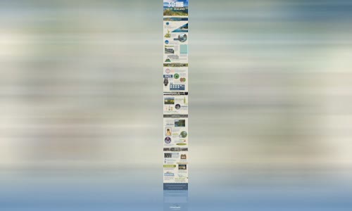 30-quirky-truth-about-new-zealand-infographic