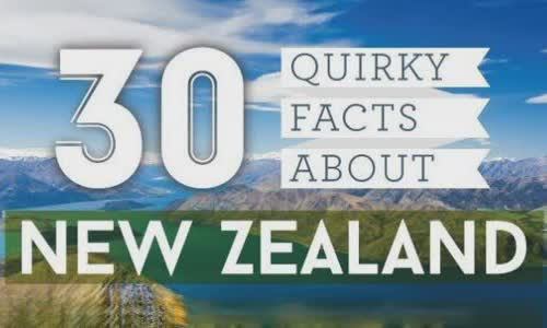 30 quirky truth about New Zealand Infographic
