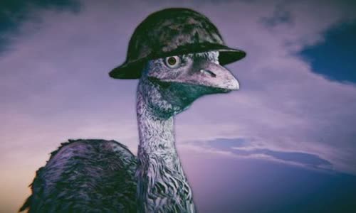 Australia's great EMU war in 1932
