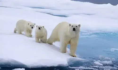 february