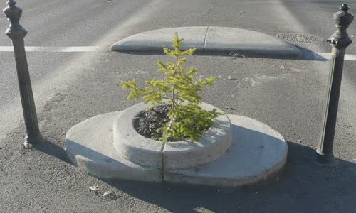 Mill Ends Park |