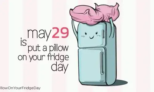 Put a pillow on your fridge day |