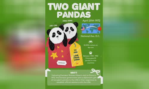 the-biggest-and-exotic-gifts-are-exchanged-between-countries