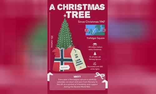 the-biggest-and-exotic-gifts-are-exchanged-between-countries