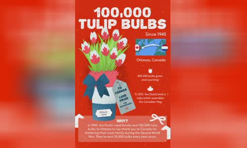 the-biggest-and-exotic-gifts-are-exchanged-between-countries