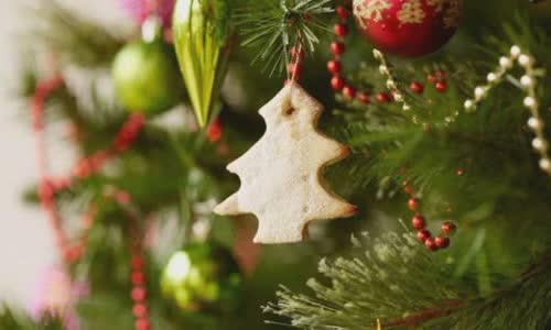 The most expensive Christmas trees