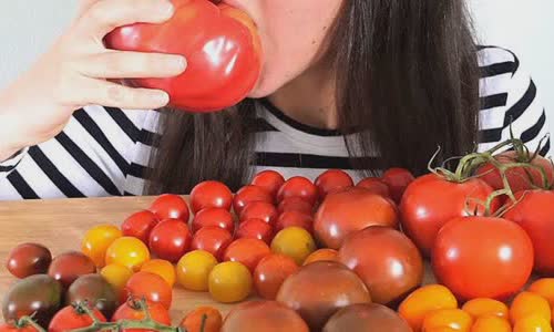tomato-bizarre-salem-tests