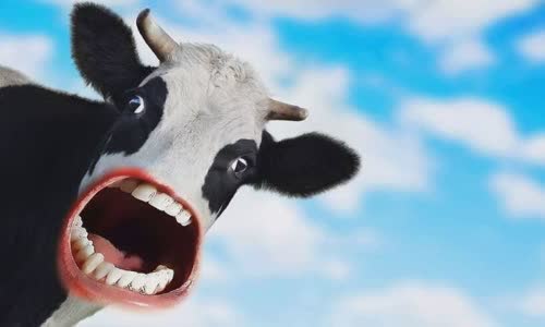 top-ten-craziest-laws-in-the-uk