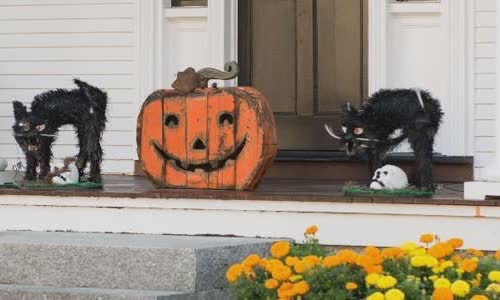 why-is-the-black-cat-related-to-halloween