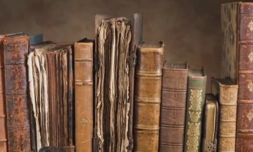 how-does-a-word-go-into-the-dictionary
