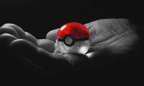 Where does the Poké ball come from?