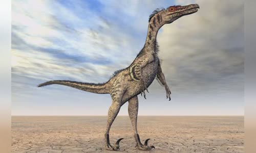 13-valiant-facts-about-velociraptors