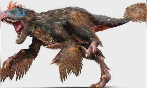 13-valiant-facts-about-velociraptors