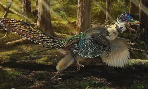 13-valiant-facts-about-velociraptors