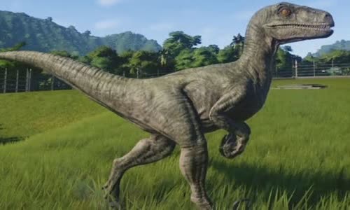 13 Valiant Facts about Velociraptors