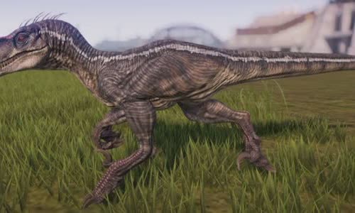 13-valiant-facts-about-velociraptors