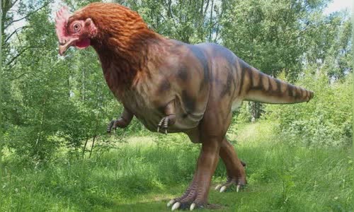 13-valiant-facts-about-velociraptors