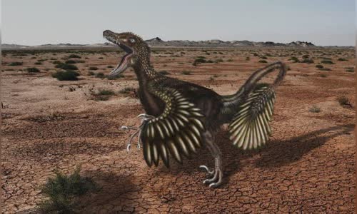 13-valiant-facts-about-velociraptors