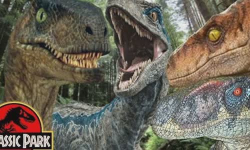13-valiant-facts-about-velociraptors