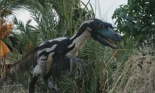 13-valiant-facts-about-velociraptors