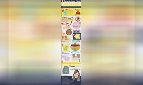 15-facts-about-urine-information