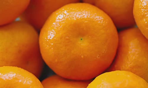 difference-of-clementine-cam-satsuma-tangerine