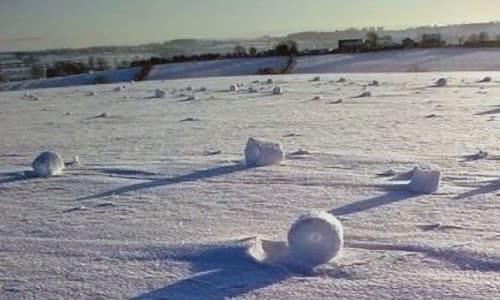Found a giant self-rolling Snowball in the UK