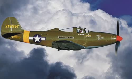 the-ace-of-world-war-ii-ace-pilots-have-no-legs