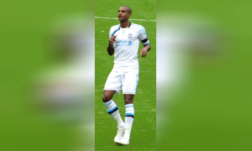 David N'Gog