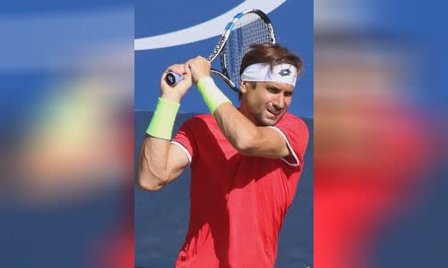 David Ferrer
