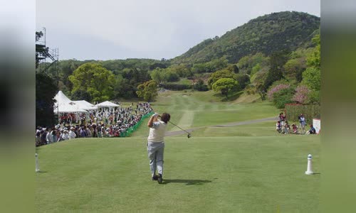 Ayako Okamoto
