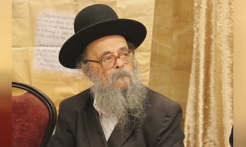Dovid Shmidel