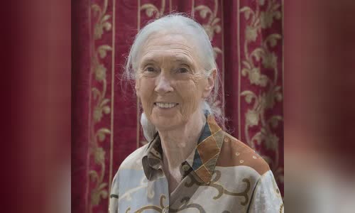 Jane Goodall