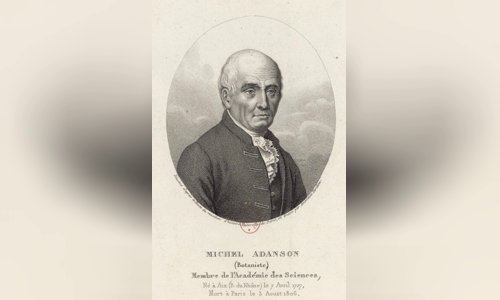 Michel Adanson