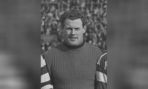 Herman van Raalte