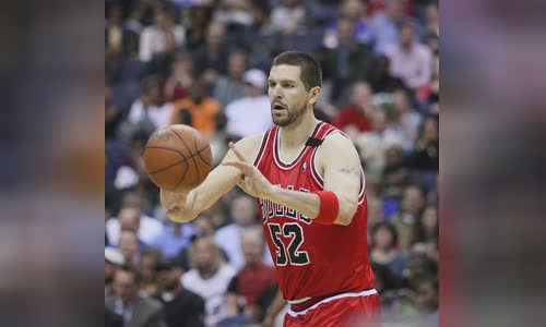 Brad Miller (basketball)