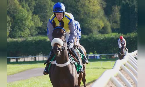 Jason Maguire