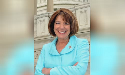 Susan Davis (politician)
