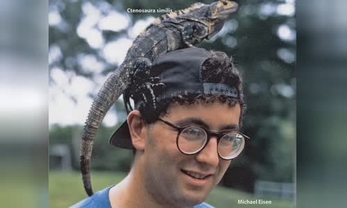 Michael Eisen