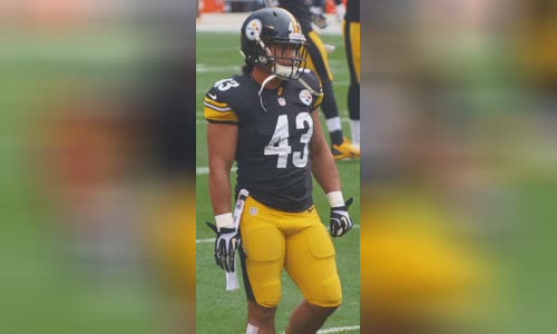 Troy Polamalu