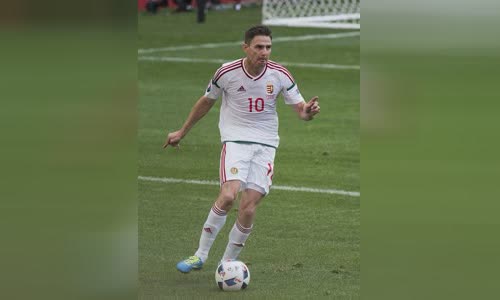 Zoltán Gera