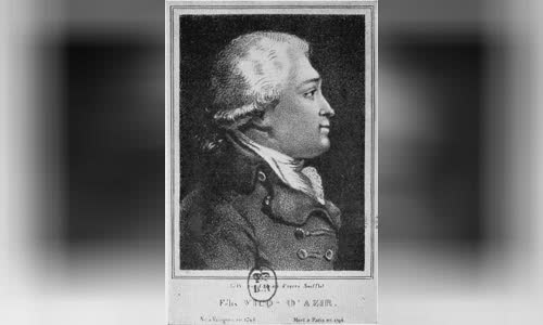 Félix Vicq-d'Azyr