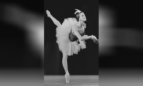 Melissa Hayden (dancer)